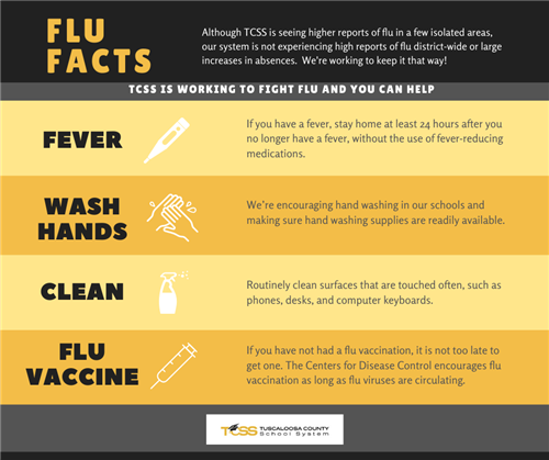Flu Facts Flu Facts